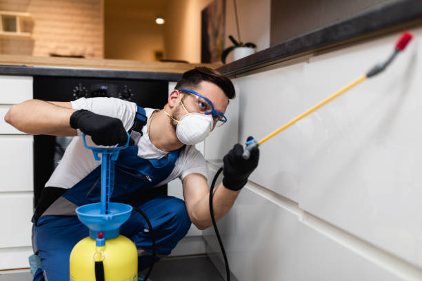 Best Rat Extermination Near Me  in Mount Vernon, KY
