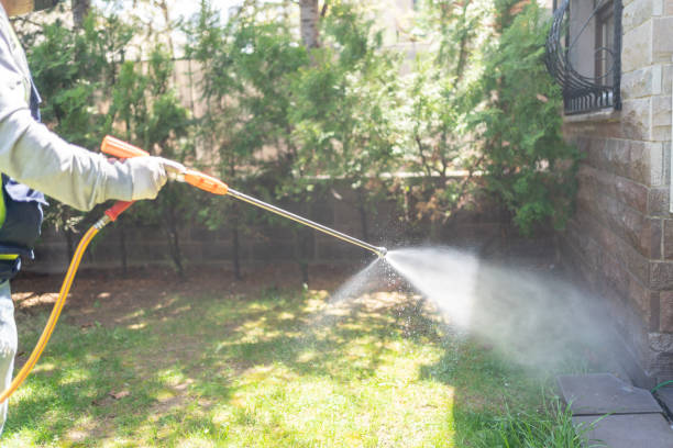 Best Pest Control Near Me  in Mount Vernon, KY