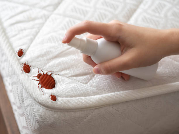 Pest Prevention Services in Mount Vernon, KY